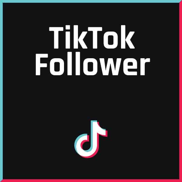 FollowerPilot 100 TikTok Follower Kaufen