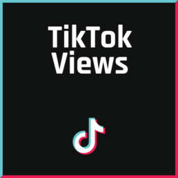 FollowerPilot TikTok Views Kaufen